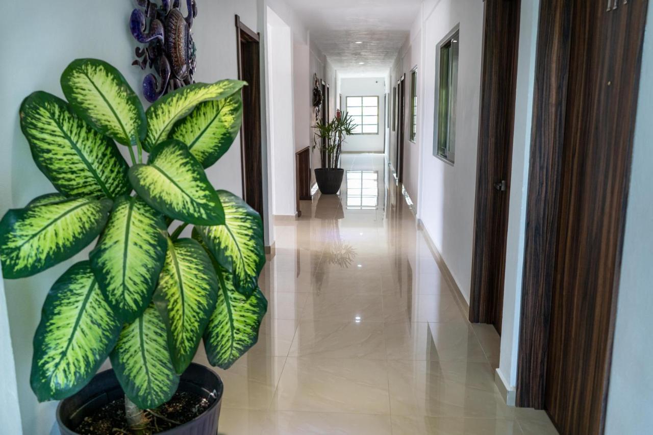 Hotel Casa Maran إكسبوجيل المظهر الخارجي الصورة
